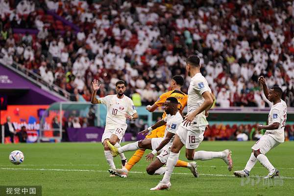 世界杯-荷兰2-0卡塔尔头名出线 加克波连续3场破门德容建功 3 世界杯-荷兰2-0卡塔尔头名出线 加克波连续3场破门德容建功