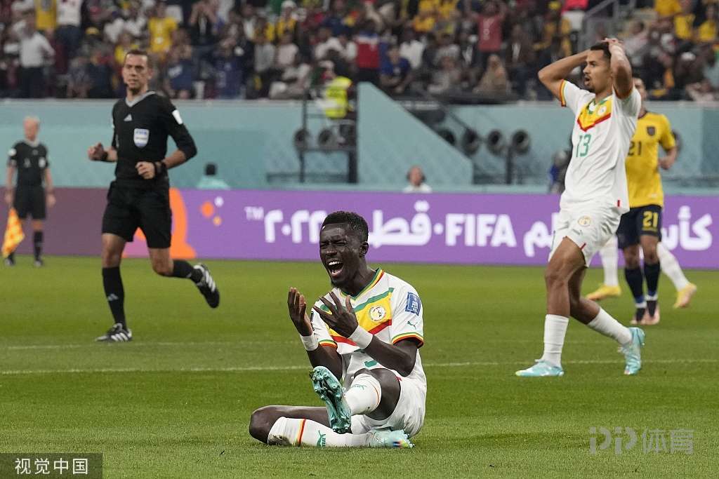 世界杯-塞内加尔2-1厄瓜多尔晋级淘汰赛 萨尔、库利巴利建功 2 世界杯-塞内加尔2-1厄瓜多尔晋级淘汰赛 萨尔、库利巴利建功