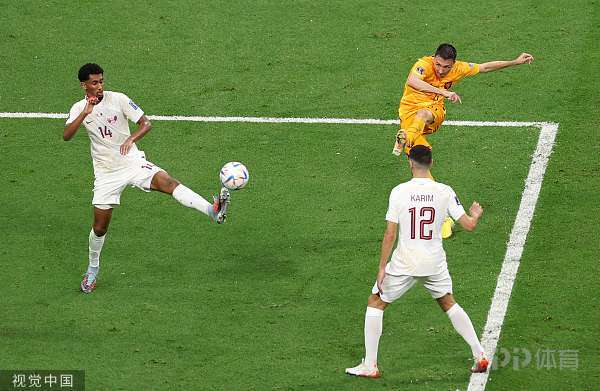 世界杯-荷兰2-0卡塔尔头名出线 加克波连续3场破门德容建功 10 世界杯-荷兰2-0卡塔尔头名出线 加克波连续3场破门德容建功