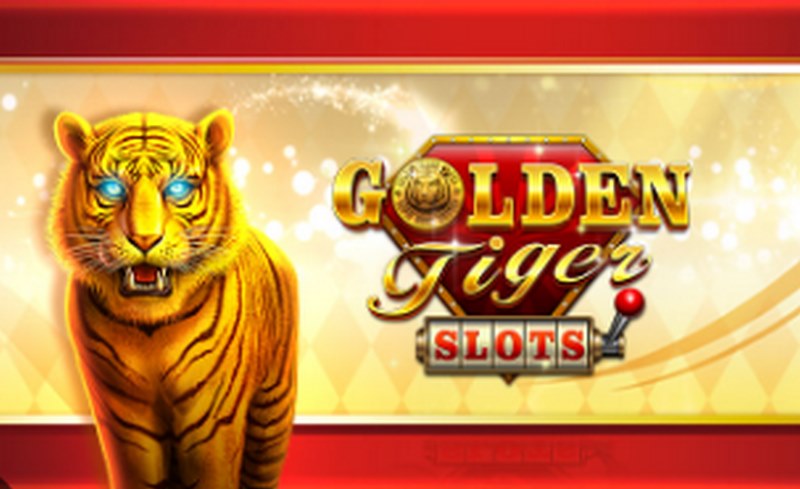 探索黄金王国,体验惊险刺激的金色道虎游戏世界! 3 具体玩法